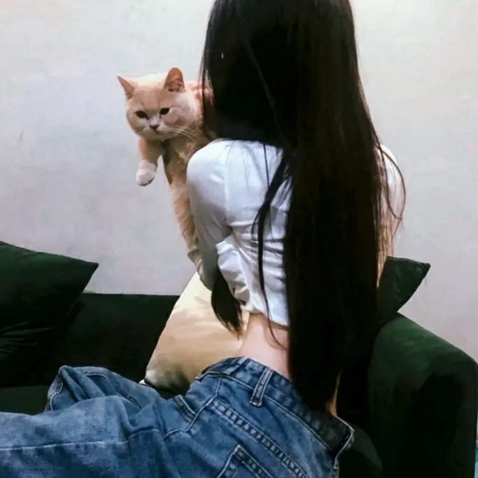 魔晶猎人第二季 封面