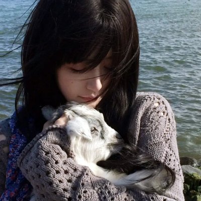 狗狗的疯狂假期 封面